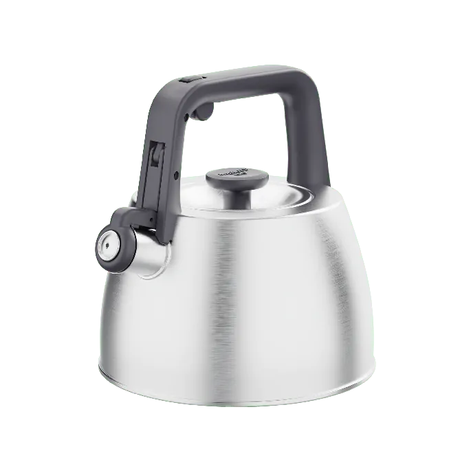 Bollitore Teiera Bollitore A Fischietto In Acciaio Inox 2L/3L/4L/5L - Per Gas E Induzione, Caffè E Tè Bollitore Gas Induzione